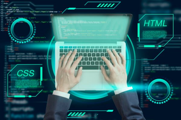Website Development Basic Plan